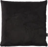 Matt Velvet cushion