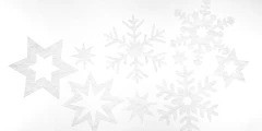 GECKO IN THE BOX – X-MAS