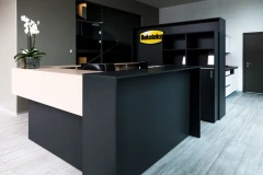 Viesis recepcija