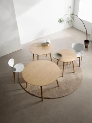 Hamilton dining chair
