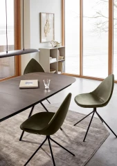 Ottawa dining chair