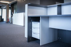 Viesis recepcija