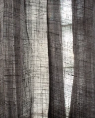 TAMINO