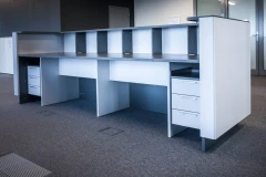 Viesis recepcija
