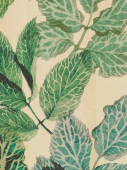 HERBA