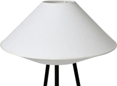 Kaku grīdas lampa