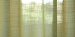 SCHERZO V