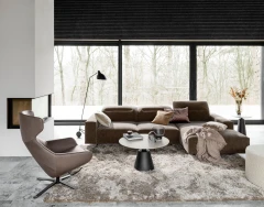 Movement rug