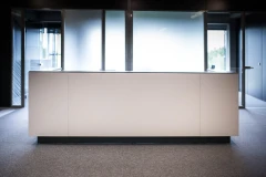 Viesis recepcija