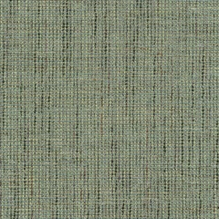 NUBIS