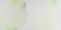 SOPHILA