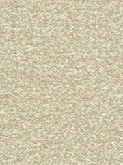 NUVOLA