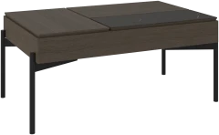 Chiva functional coffee table with storage