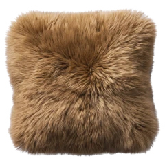 Catskills cushion