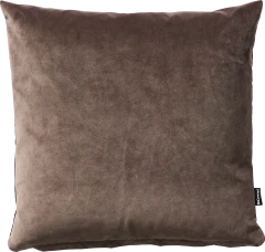 Matt Velvet cushion