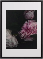 Flora 1 Photo Art paper/wood