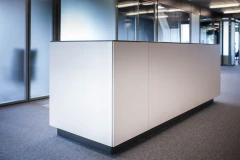 Viesis recepcija