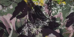 ARTEMISIA