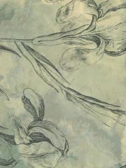 TEMPESTA