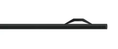 Quantum 25