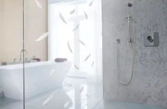GECKO IN THE BOX – VOLARE
