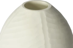 Blossom vase