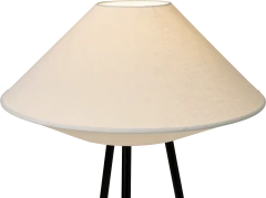 Kaku grīdas lampa