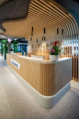 Viesis recepcija