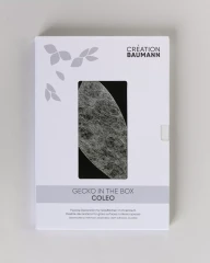 GECKO IN THE BOX – COLEO