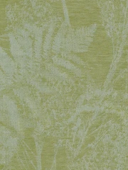 FIR