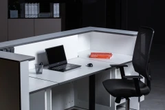 Viesis recepcija