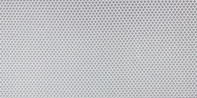 ALU NET
