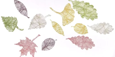 GECKO IN THE BOX – LEAVES