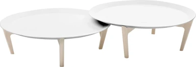 Tray galdiņš