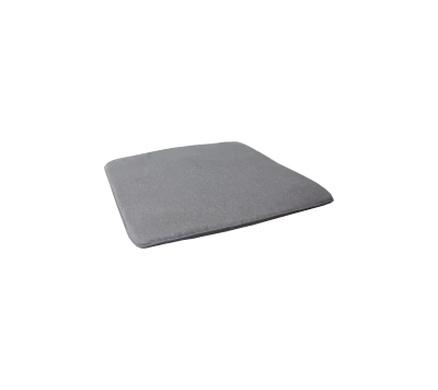 Amaze lounge chair/sofa cushion