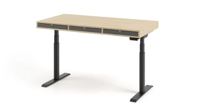 ALTIUS BAU work desk