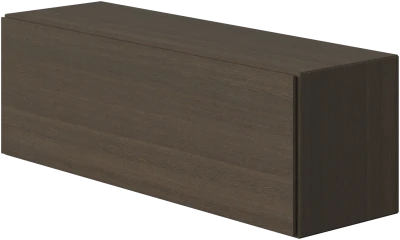 Lugano wall mountable cabinet with flip-up door