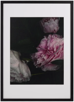 Flora 1 Photo Art paper/wood