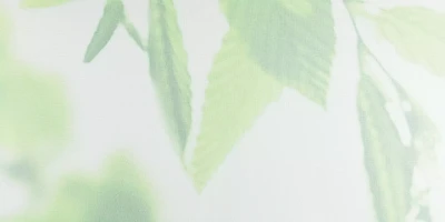 HERBA