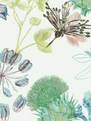 FIORE-U