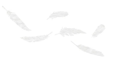 GECKO IN THE BOX – VOLARE