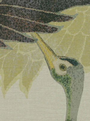 VOLARE